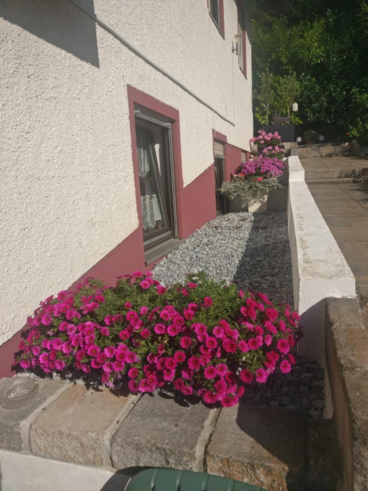 Apartments In Behringersmuehle Goessweinstein Zewnętrze zdjęcie