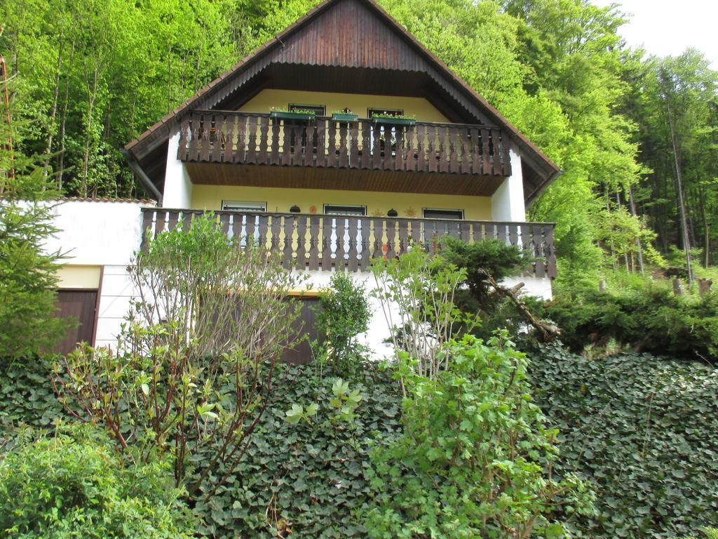 Apartments In Behringersmuehle Goessweinstein Zewnętrze zdjęcie