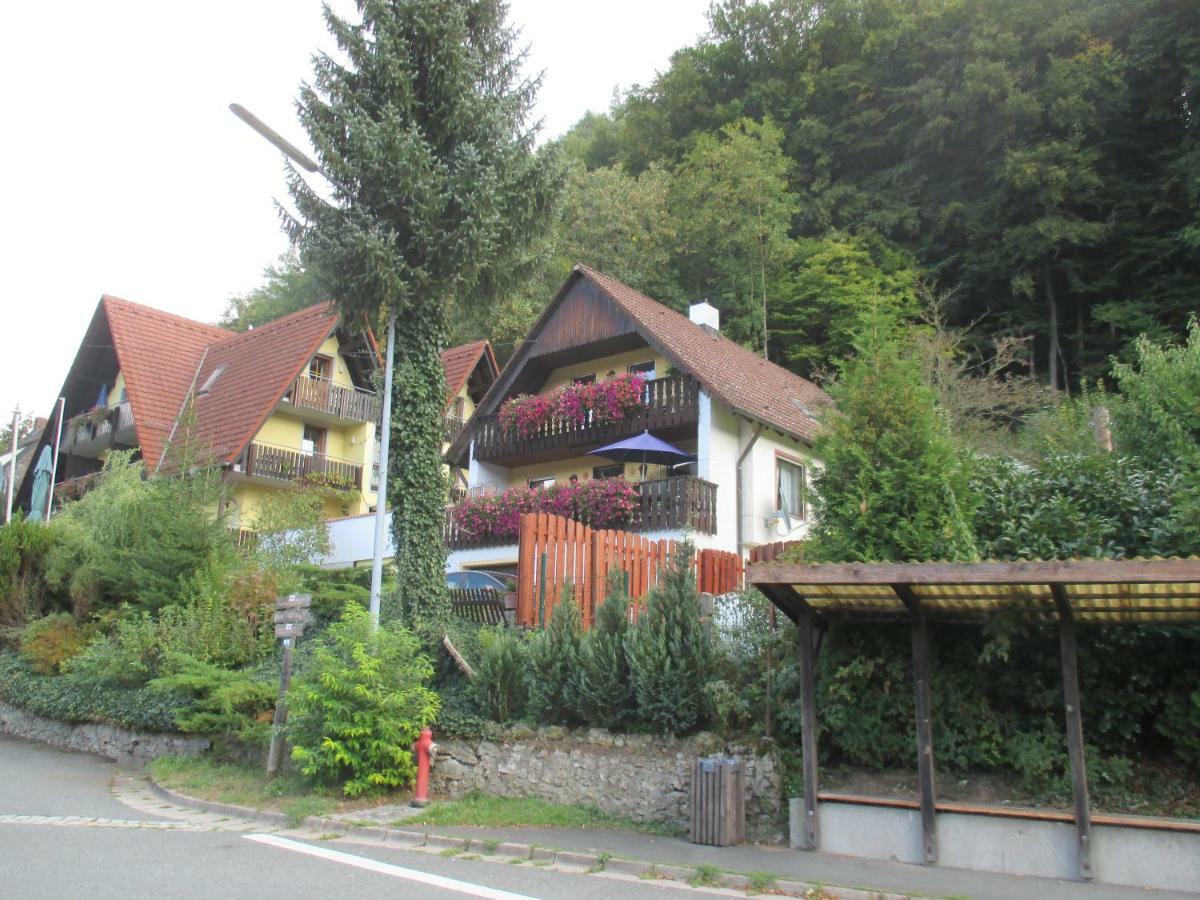 Apartments In Behringersmuehle Goessweinstein Zewnętrze zdjęcie